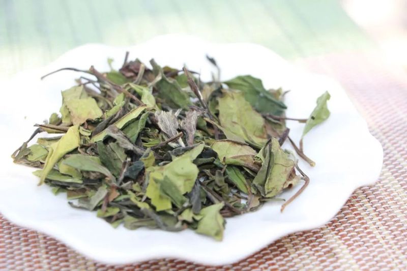 福鼎白茶：高山白茶和平地白茶的最大差别