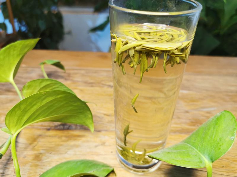 有时候喝多了茶手发抖怎么回事