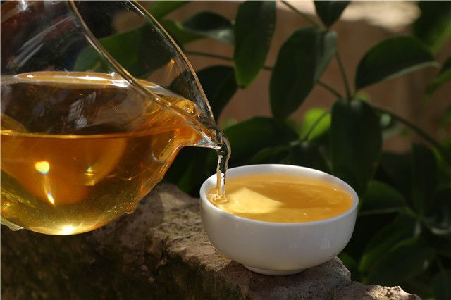 品鉴普洱茶从哪些方面入手好