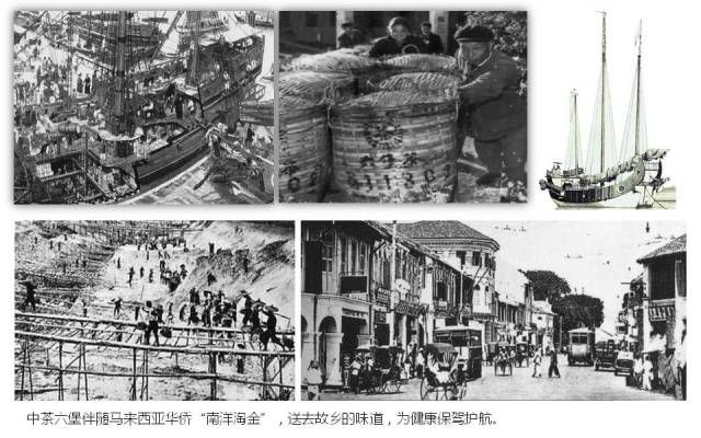 六堡茶何以风靡大马?