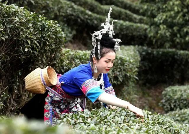 苗族、侗族打油茶的制作工艺