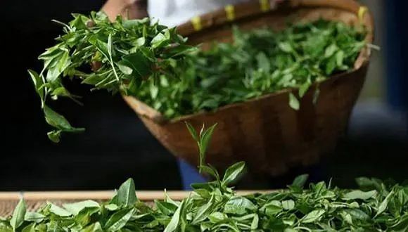 苗族、侗族打油茶的制作工艺