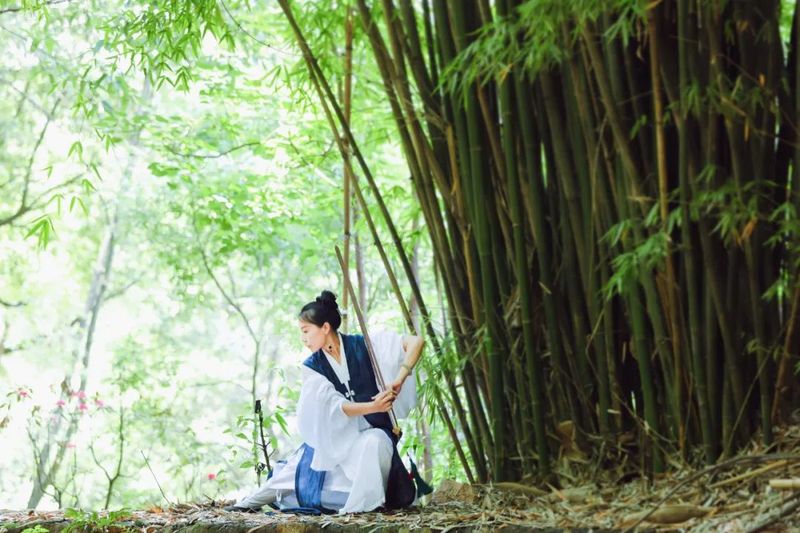 芒种茶席：竹林品茶，领略传统文化之美