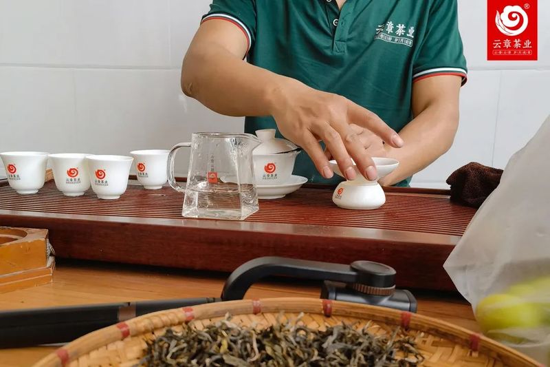 春茶陆续上新，这些品鉴术语你一定要知道
