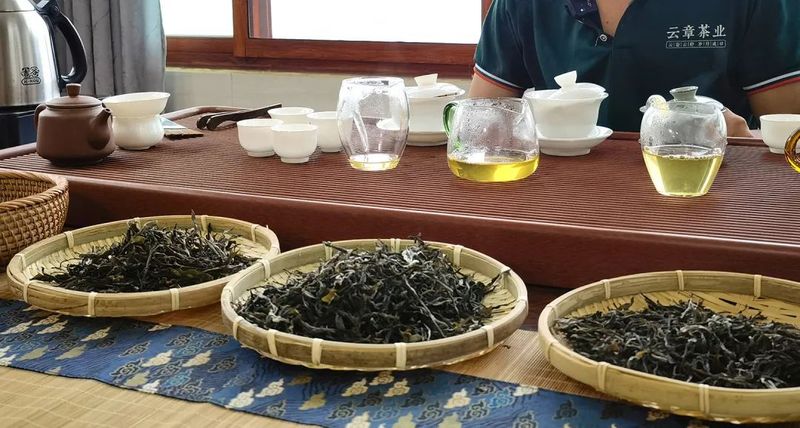 春茶陆续上新，这些品鉴术语你一定要知道