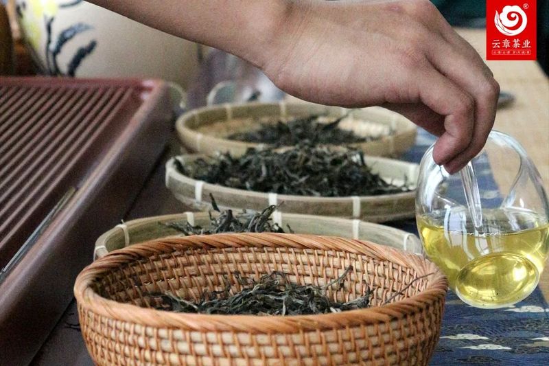 春茶陆续上新，这些品鉴术语你一定要知道