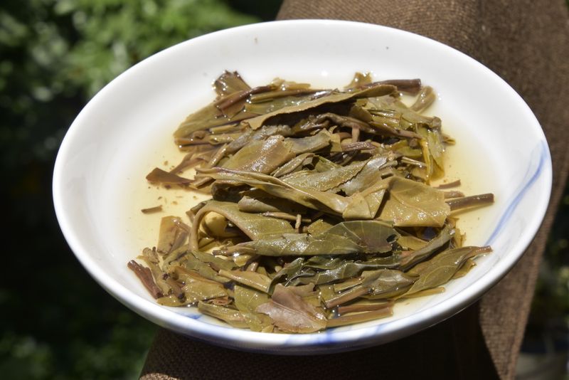 选购普洱茶生茶技巧
