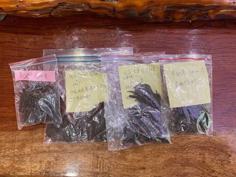 老徐鉴茶：凤庆古树大单株春茶味薄、涩重！凤庆茶适合做普洱生茶吗？