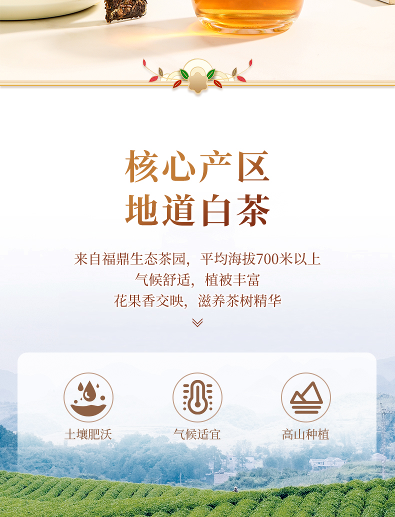 壶+茶_07.jpg