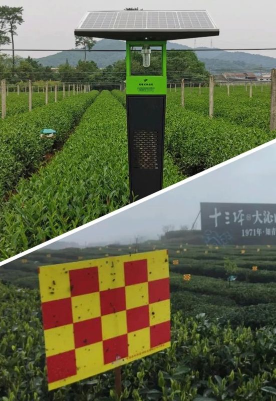 绿色防控技术集成基本原则及技术选择