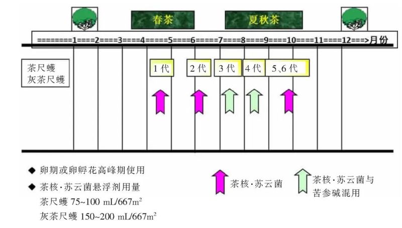 绿色防控技术集成基本原则及技术选择