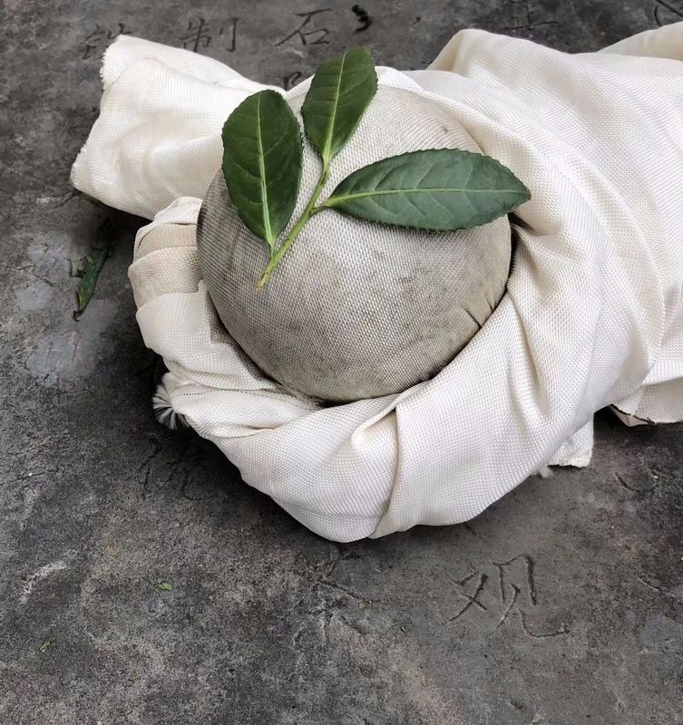 铁观音,安溪的骄傲