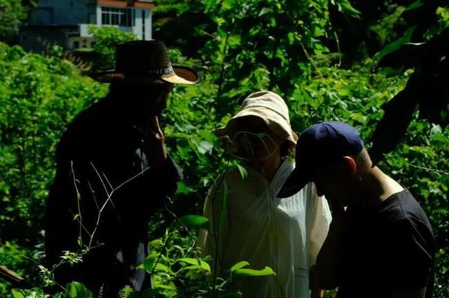 唐代知名贡茶“方山露芽”有可能来自莆田的这座大山？