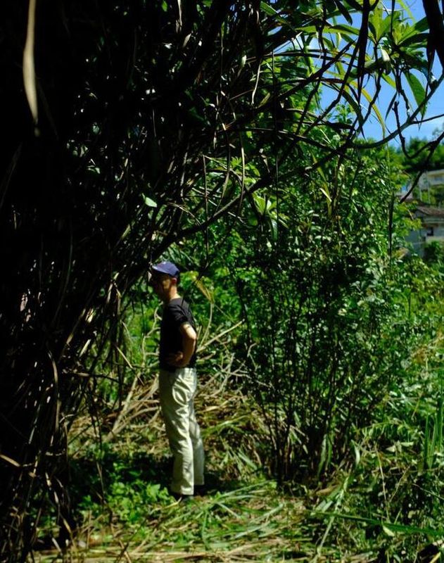 唐代知名贡茶“方山露芽”有可能来自莆田的这座大山？