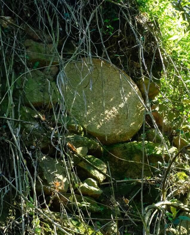 唐代知名贡茶“方山露芽”有可能来自莆田的这座大山？