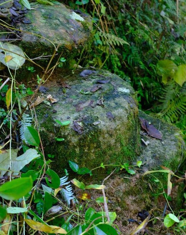 唐代知名贡茶“方山露芽”有可能来自莆田的这座大山？