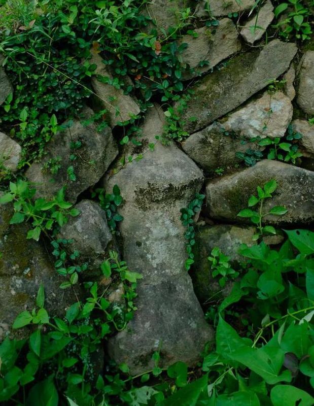 唐代知名贡茶“方山露芽”有可能来自莆田的这座大山？