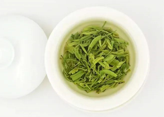 恩施玉露——惟一蒸的历史名茶