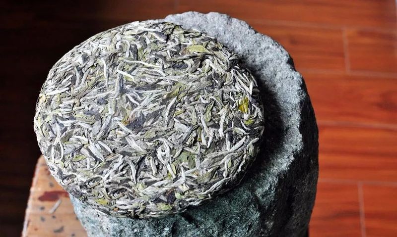 保存需讲究，存茶有方法，不同的白茶，应该怎么存？