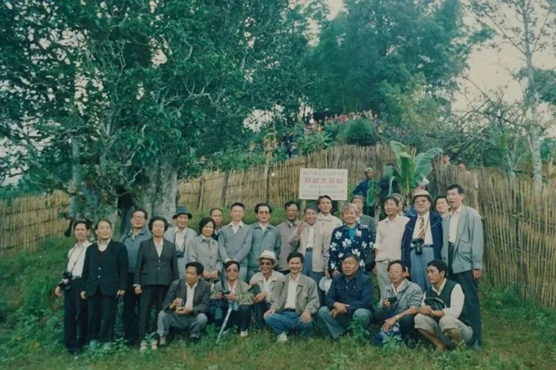 云南茶界笔杆子苏芳华的《云南茶叶》与云南省茶业协会往事