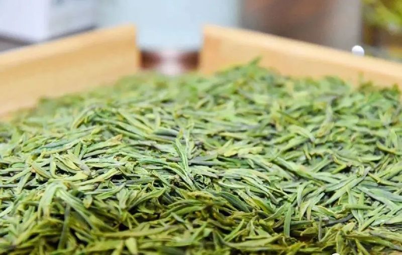 湖北新洲旧街白茶——珍罕茶种，形似凤羽