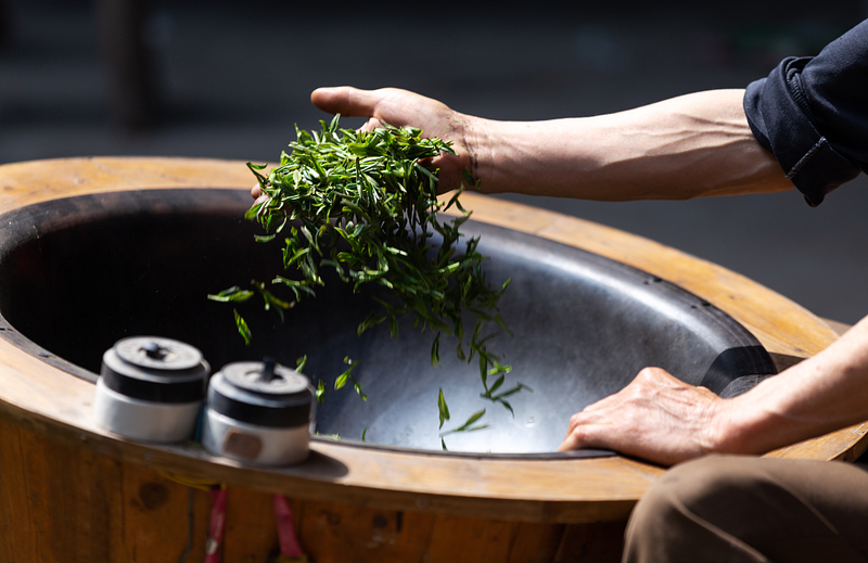 湖北赤壁松峰茶——茶马古道源头的明前芽茶