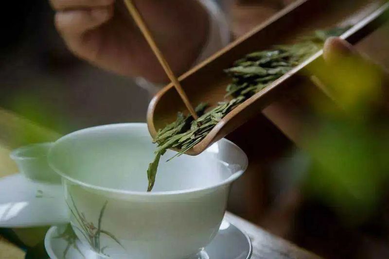湖北赤壁松峰茶——茶马古道源头的明前芽茶