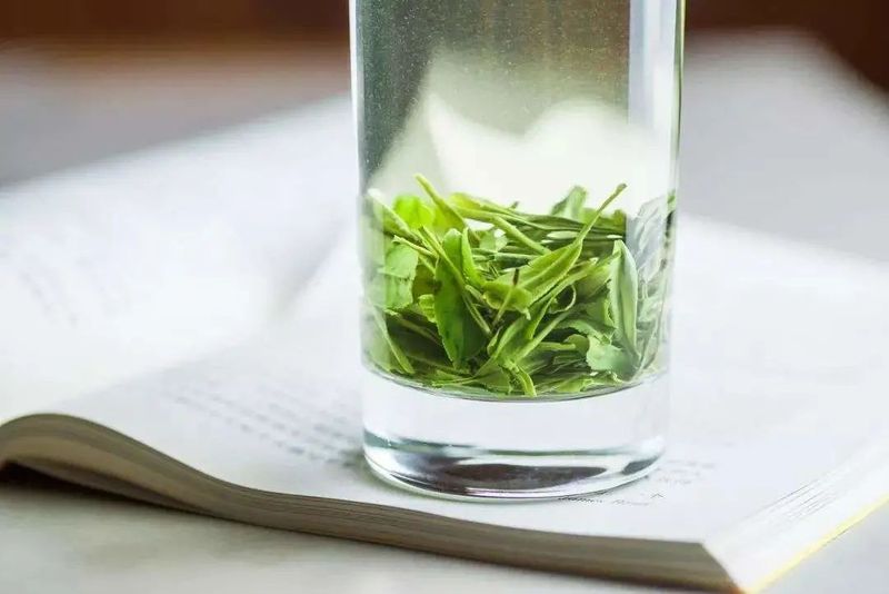 湖北英山云雾茶——海拔800米的千年醇香