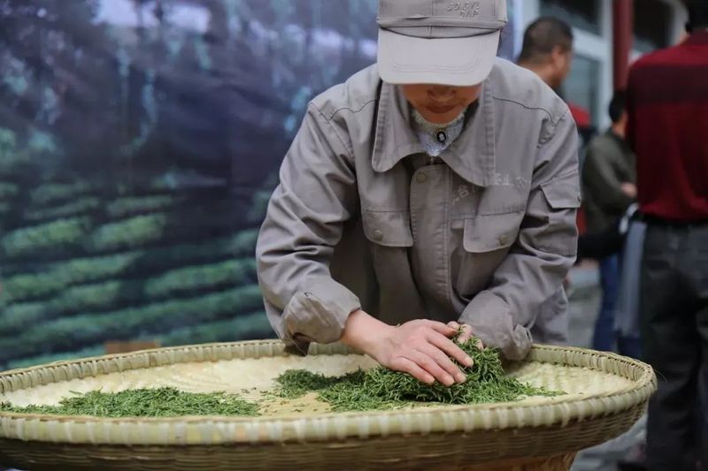 湖北伍家台贡茶——碧翠银毫，乾隆亲题“皇恩宠锡”