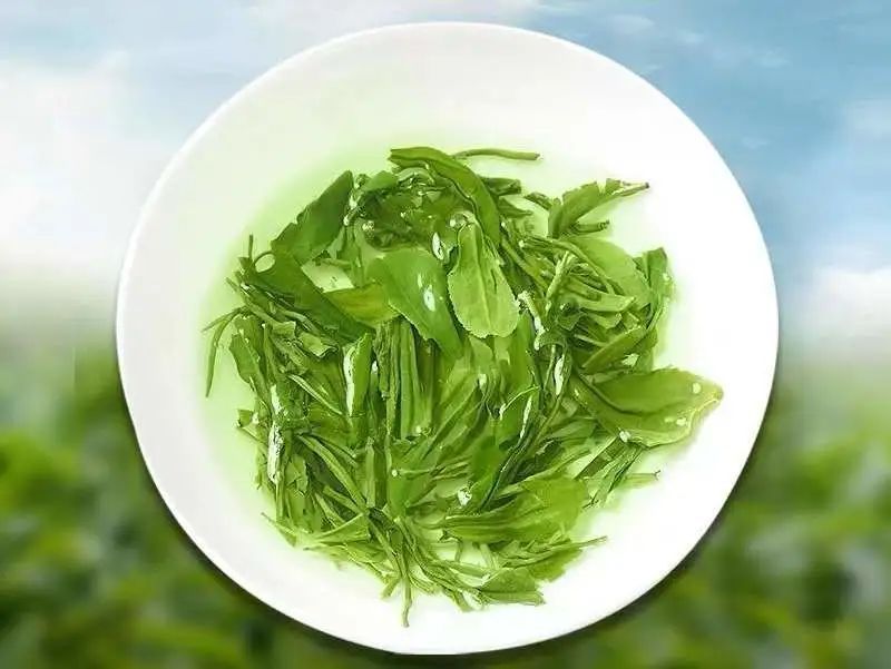 湖北伍家台贡茶——碧翠银毫，乾隆亲题“皇恩宠锡”