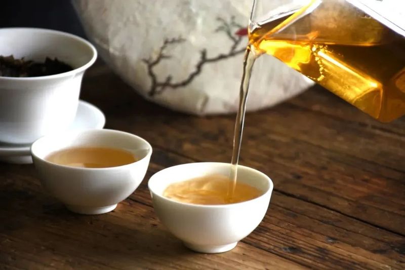 白露茶VS.寒露茶，哪个更好喝？