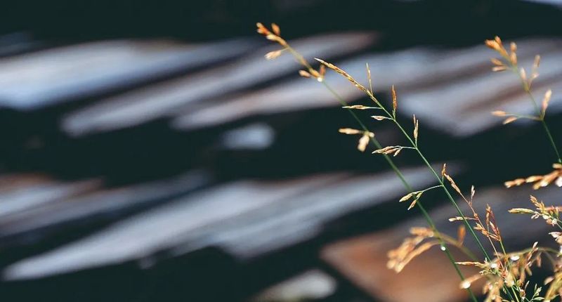 泡一杯茶 放下自己