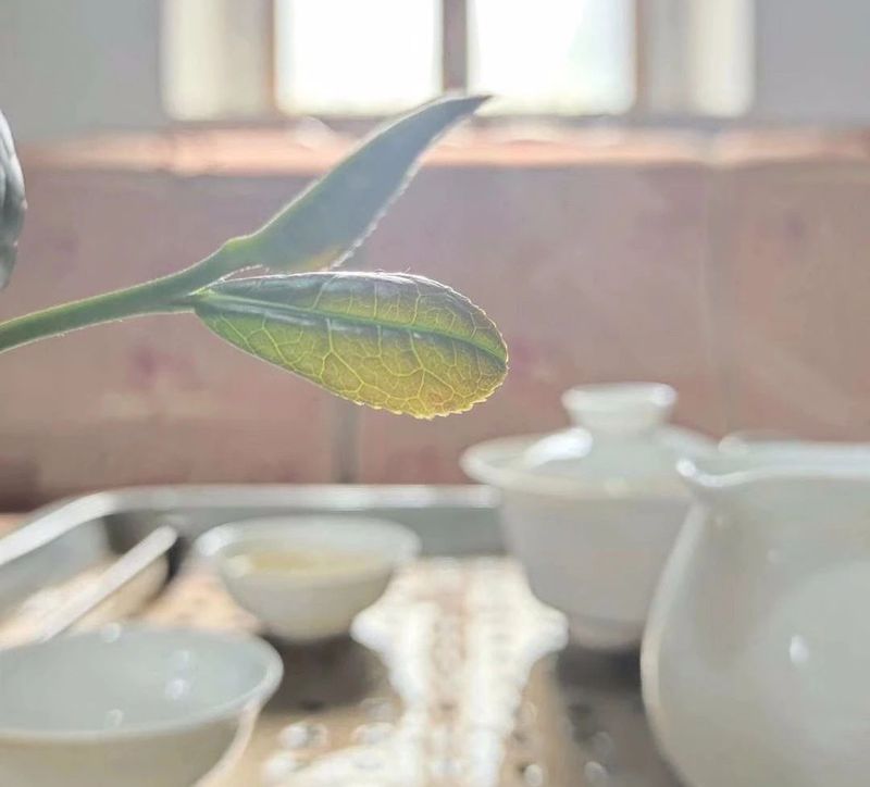 那山·那茶·那人