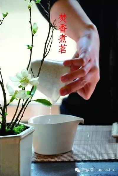 今日惊蛰，如何喝茶养生？