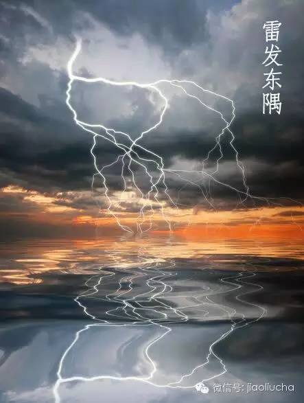 今日惊蛰，如何喝茶养生？