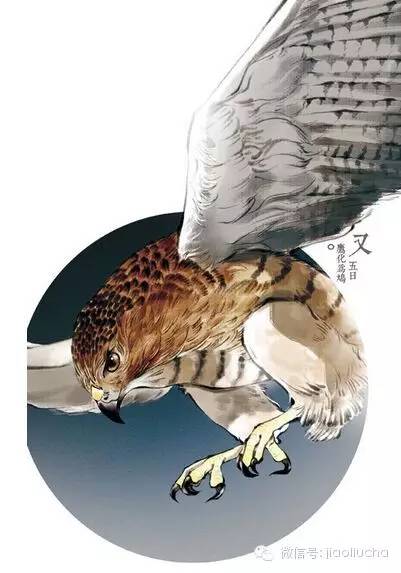今日惊蛰，如何喝茶养生？