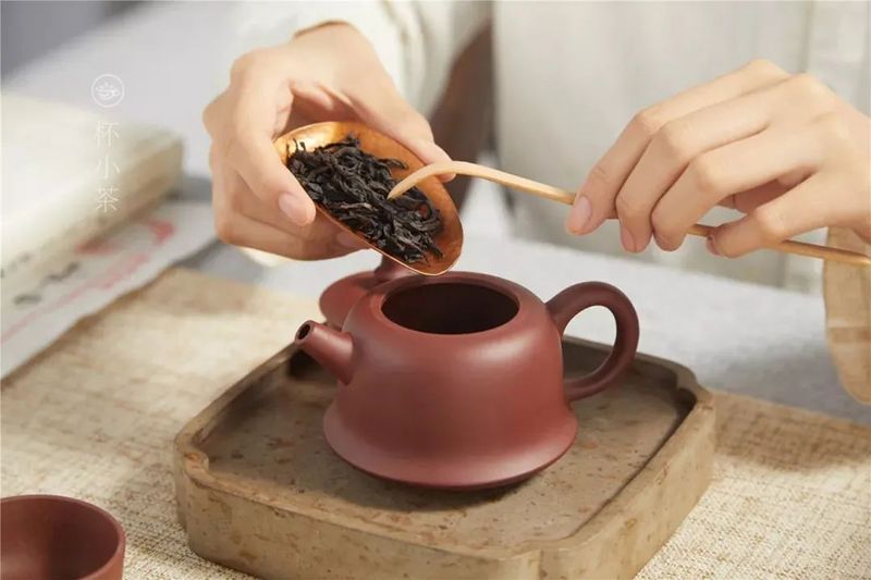 以茶为镜，照亮自己