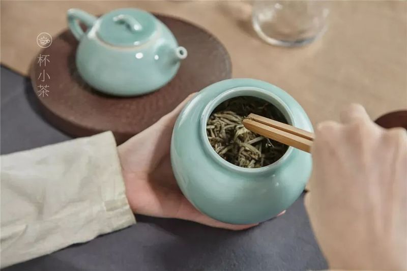 以茶为镜，照亮自己