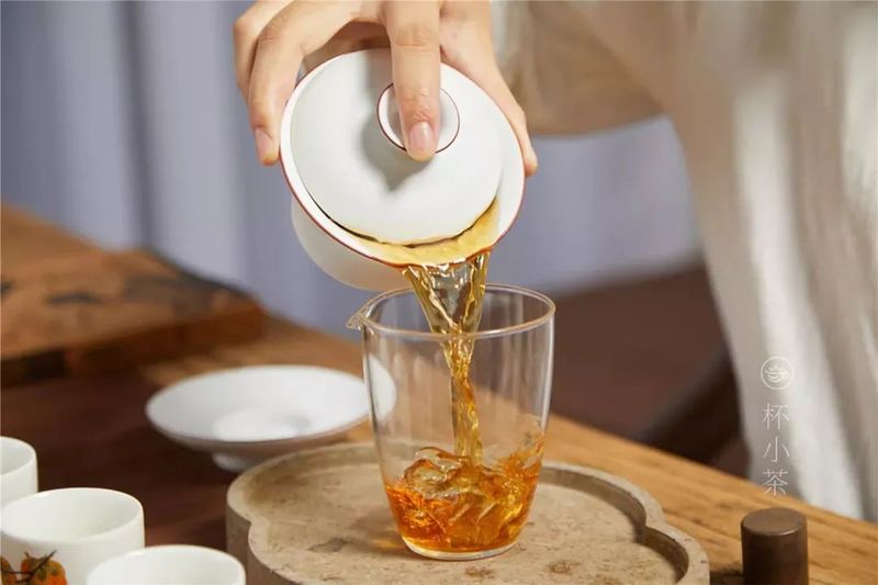 以茶为镜，照亮自己