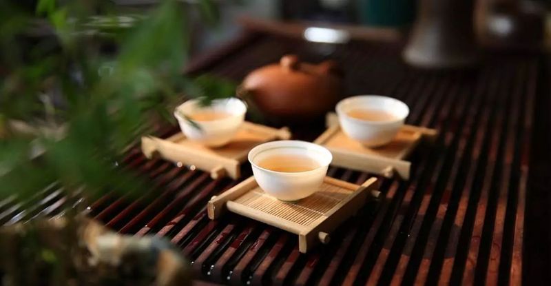世间万物，与生俱来的喜爱茶