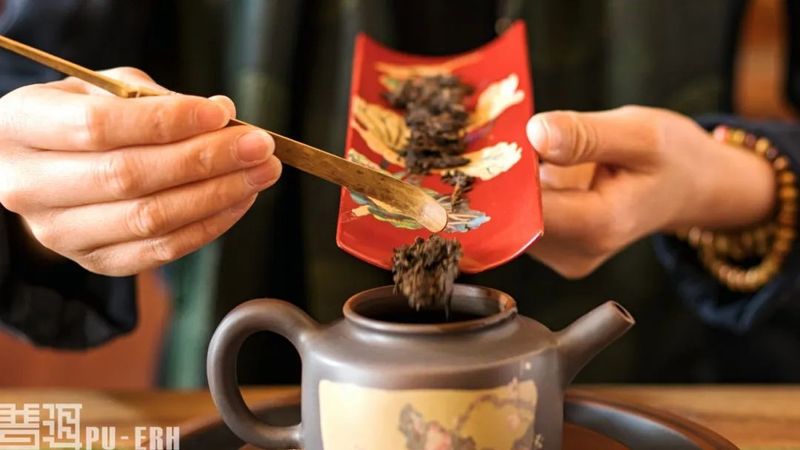 泡茶 一件有意思的事