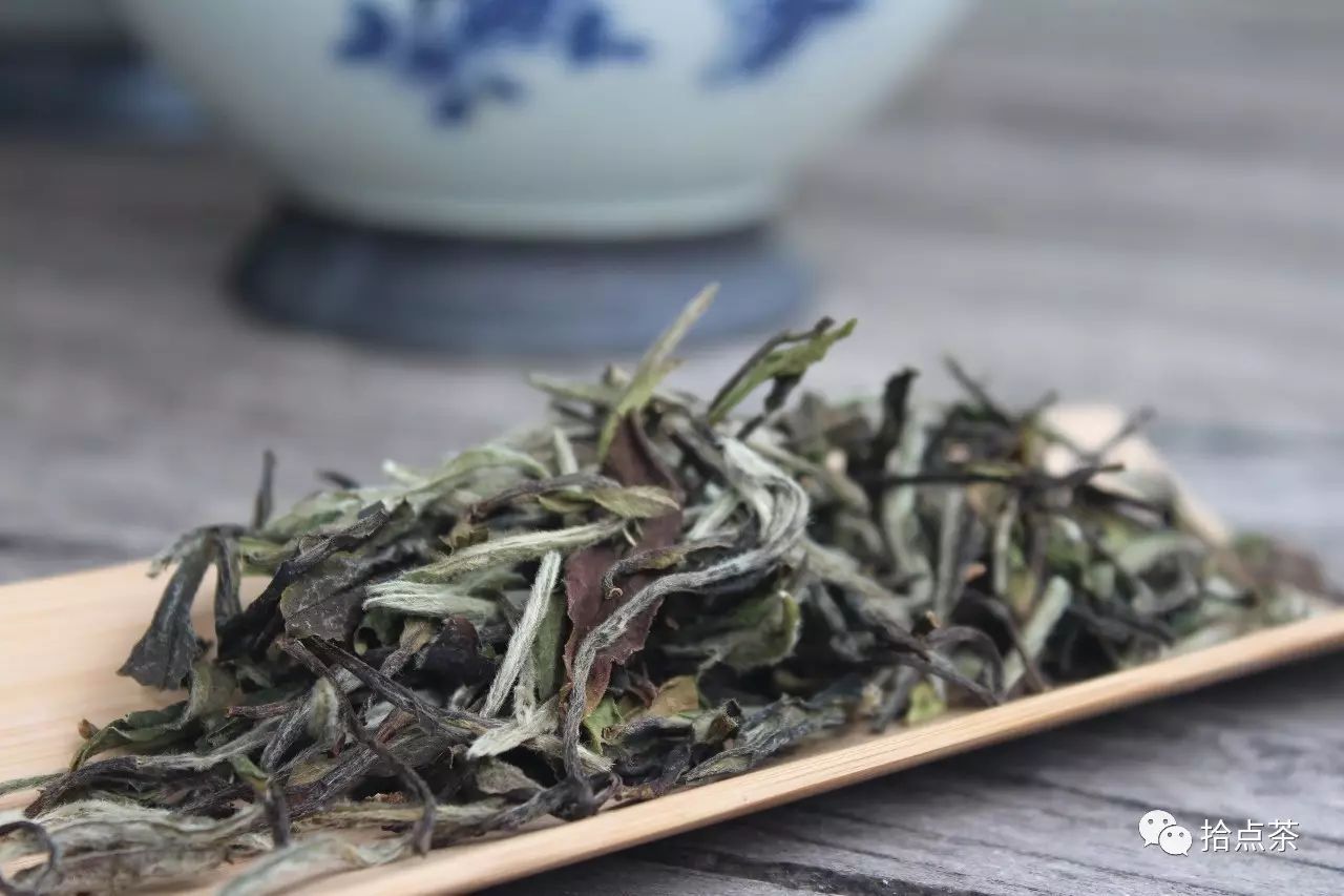 再学不会白茶的储存方法，真的会后悔