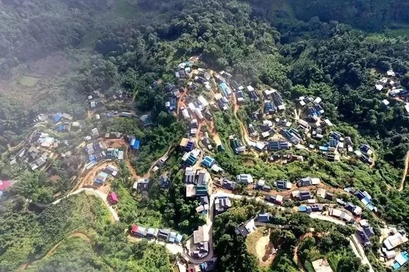 勐海茶山游 景美茶更香——走进帕沙古茶山