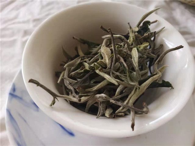 白茶煮着喝还是泡着喝？