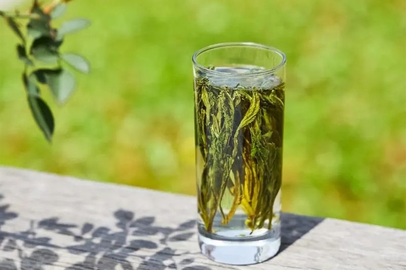 绿茶只知龙井、碧螺春？带你了解十大名优绿茶！