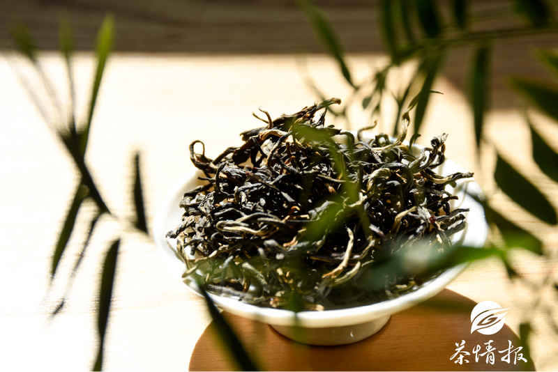 焕发容颜？提升阳气？揭秘红茶的养生之道