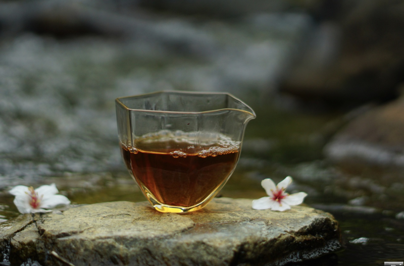 茶在潜移默化间，调节你的人生