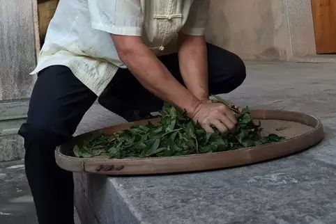 铁观音复杂工艺，造就非凡品质