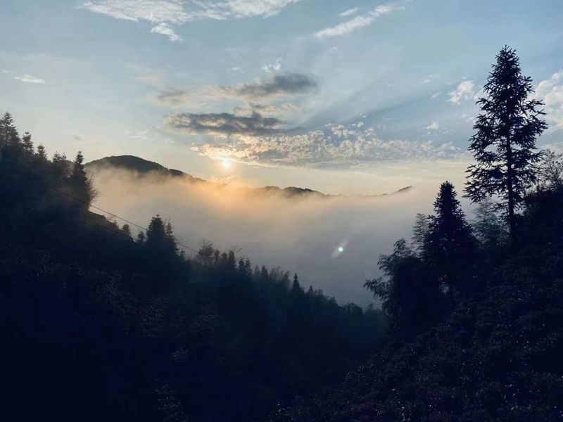 十大不可错过的茶旅胜地，你去过几个？