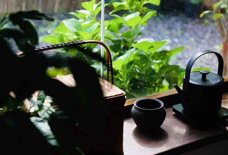 十大不可错过的茶旅胜地，你去过几个？
